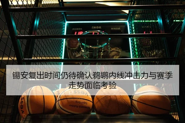 锡安复出时间仍待确认鹈鹕内线冲击力与赛季走势面临考验